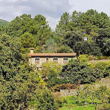 Casa Rural En Candeleda Con Piscina Y Un Maravilloso Jardin Exterior photo