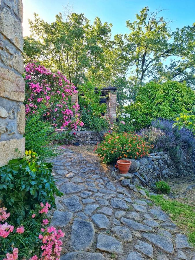 Casa Rural En Candeleda Con Piscina Y Un Maravilloso Jardin Exterior photo