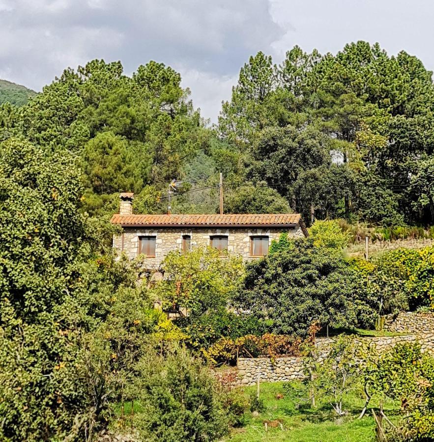 Casa Rural En Candeleda Con Piscina Y Un Maravilloso Jardin Exterior photo