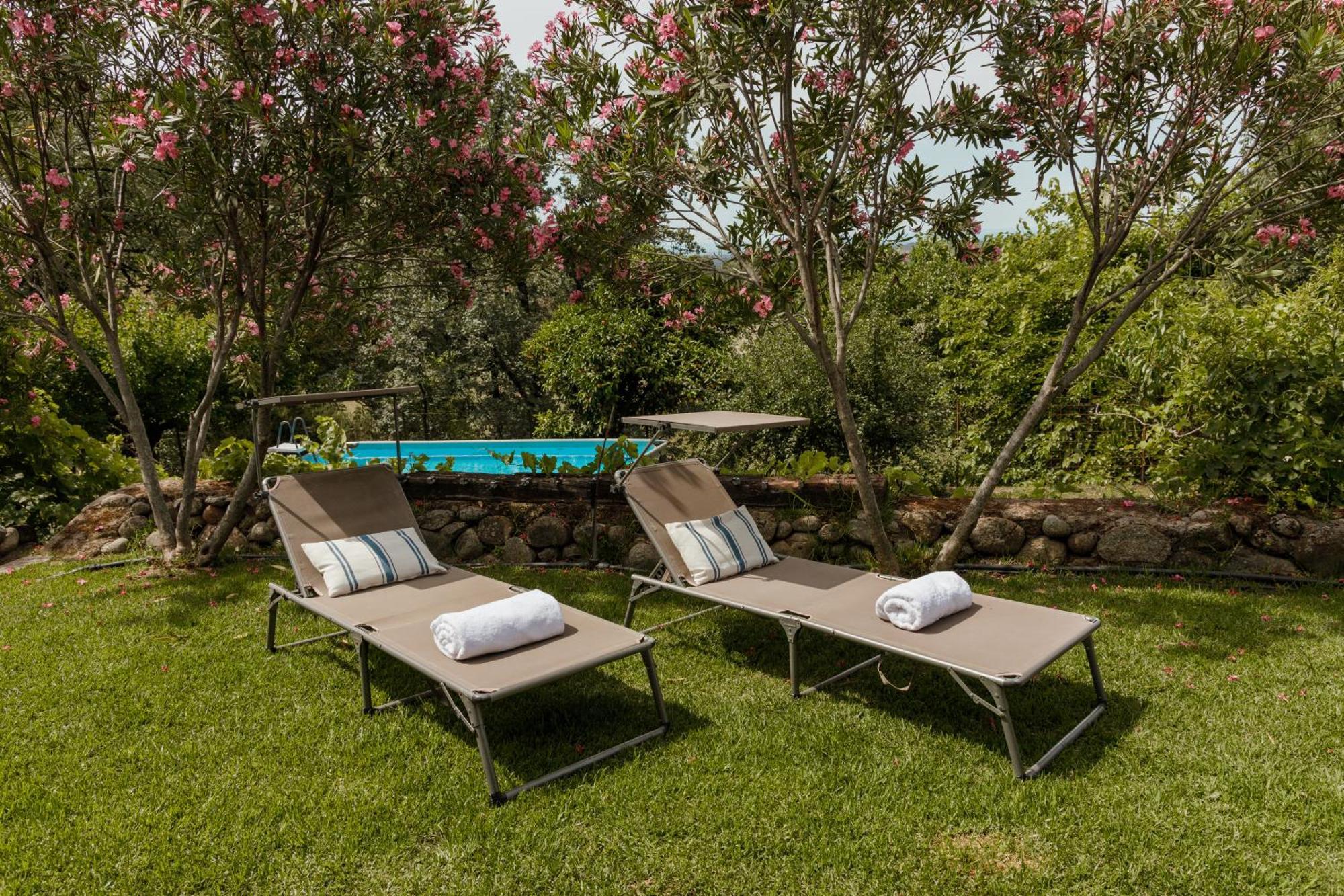 Casa Rural En Candeleda Con Piscina Y Un Maravilloso Jardin Exterior photo