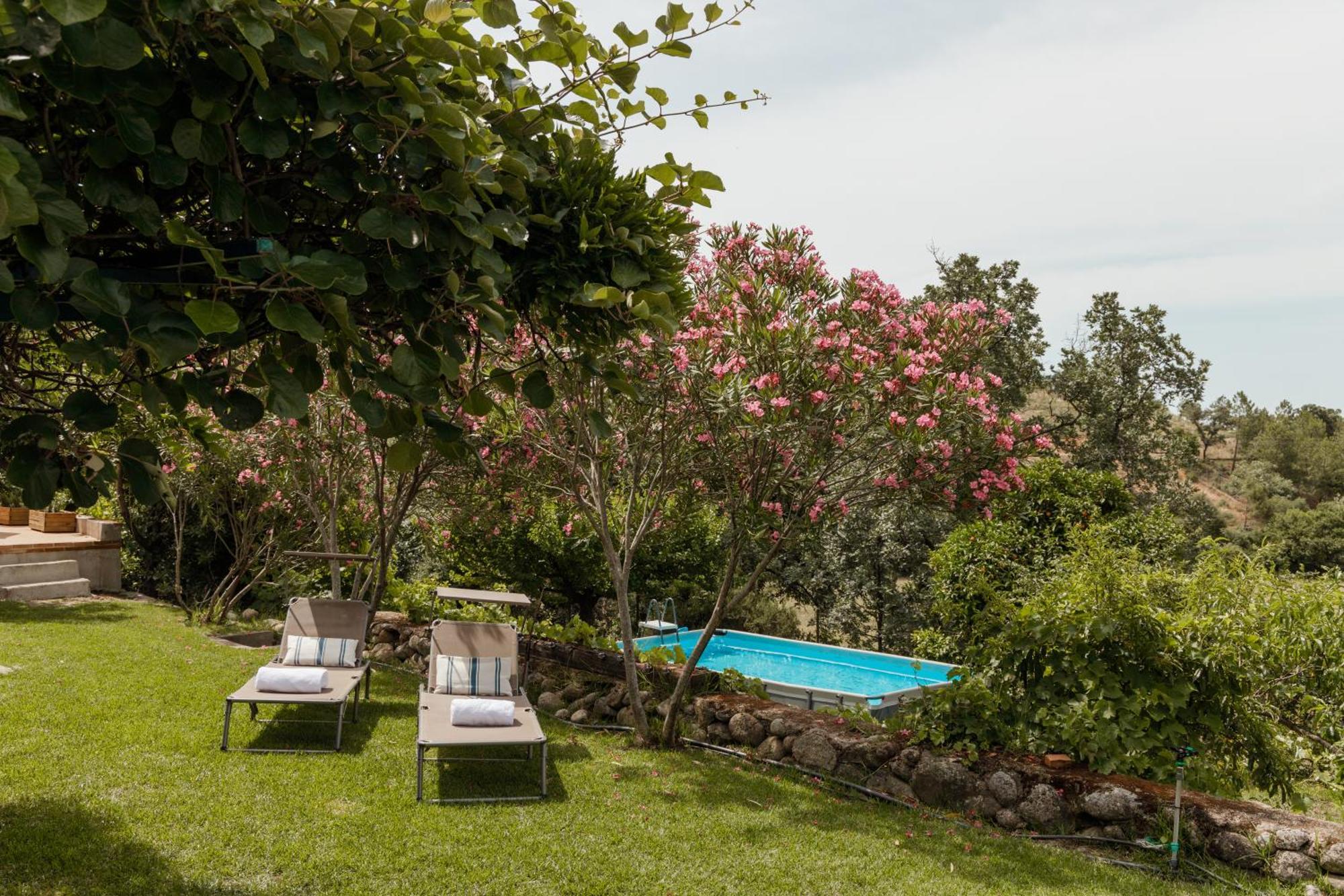 Casa Rural En Candeleda Con Piscina Y Un Maravilloso Jardin Exterior photo