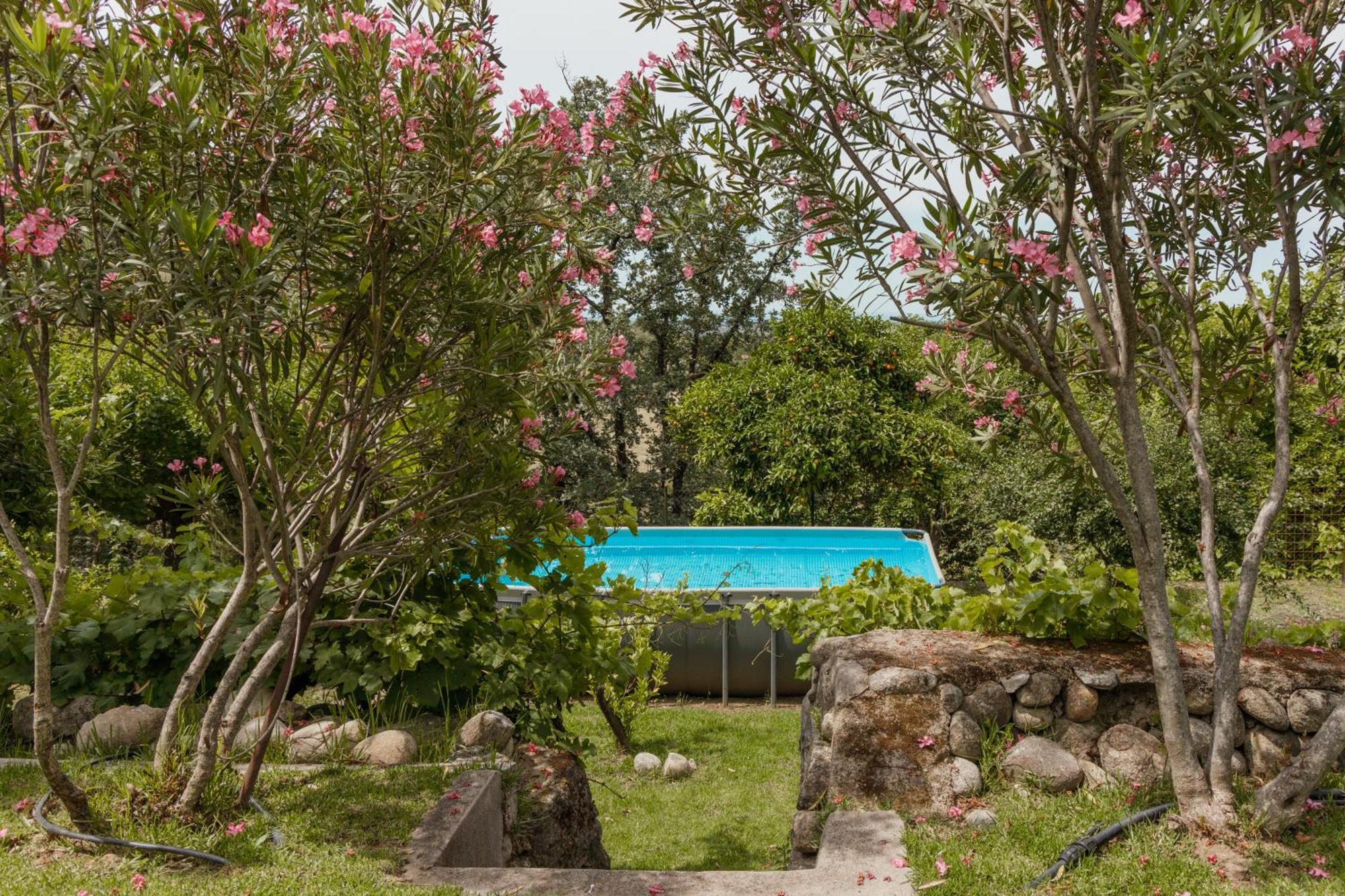 Casa Rural En Candeleda Con Piscina Y Un Maravilloso Jardin Exterior photo