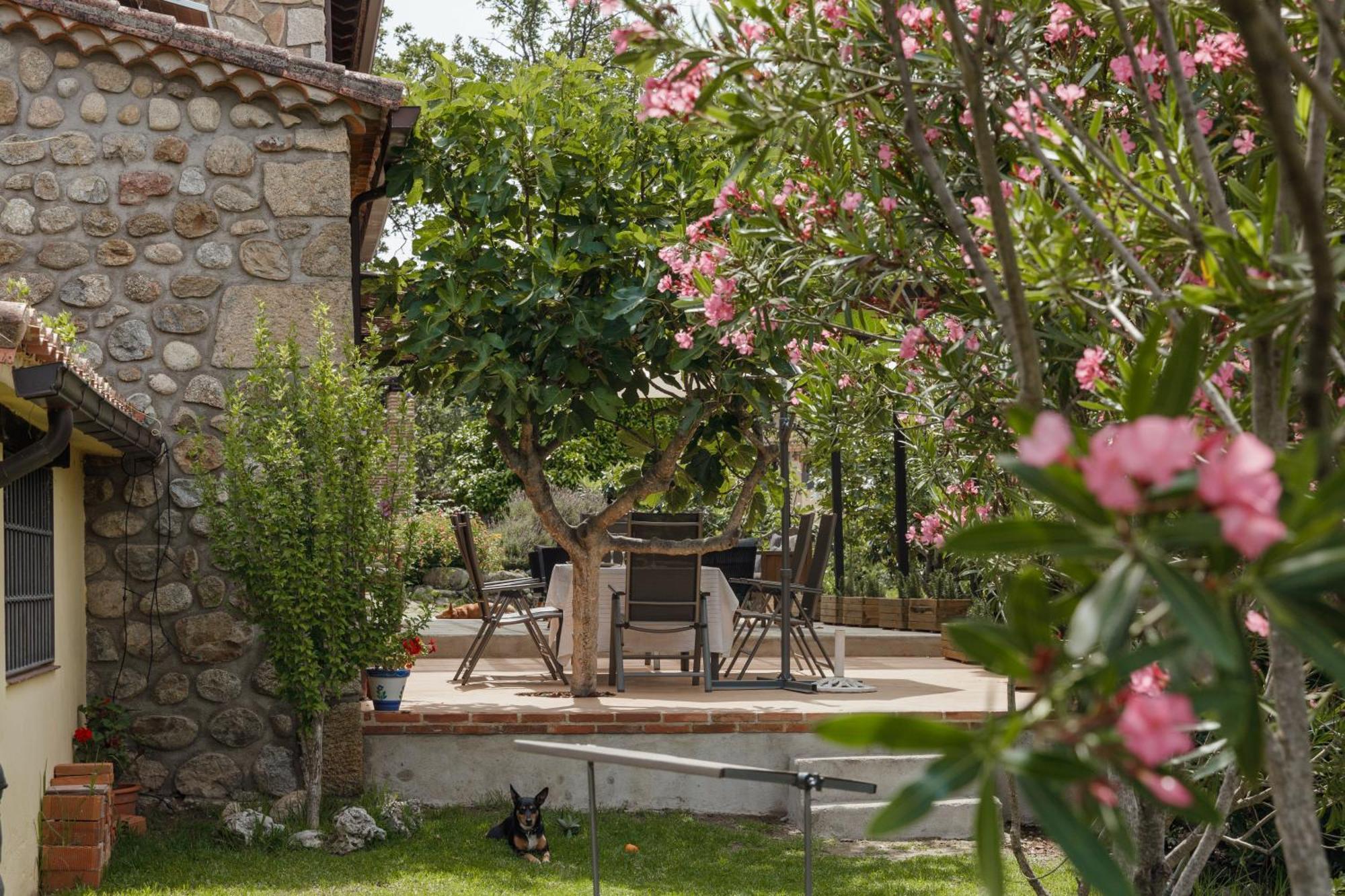 Casa Rural En Candeleda Con Piscina Y Un Maravilloso Jardin Exterior photo